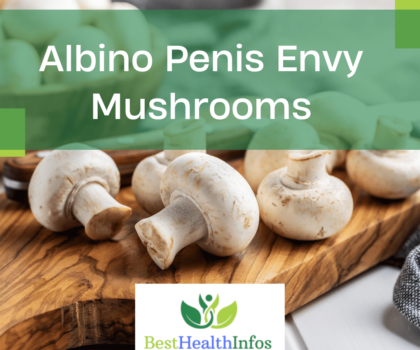 Albino Penis Envy Mushrooms