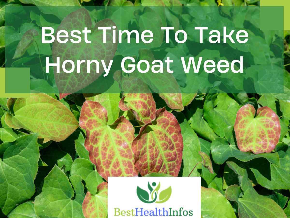 Best Time To Take Horny Goat Weed